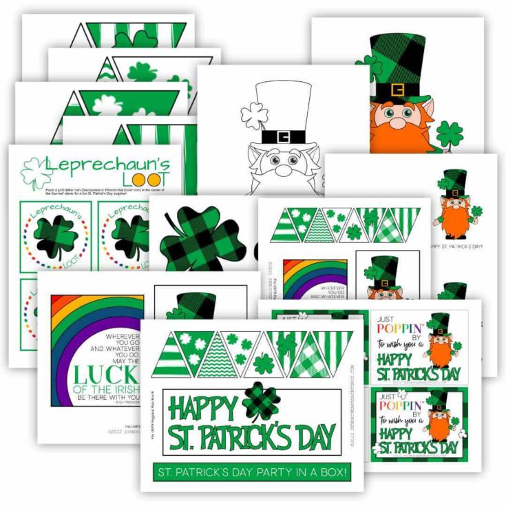 St. Patrick's Day Care Package For College Students - Sunshine and ...