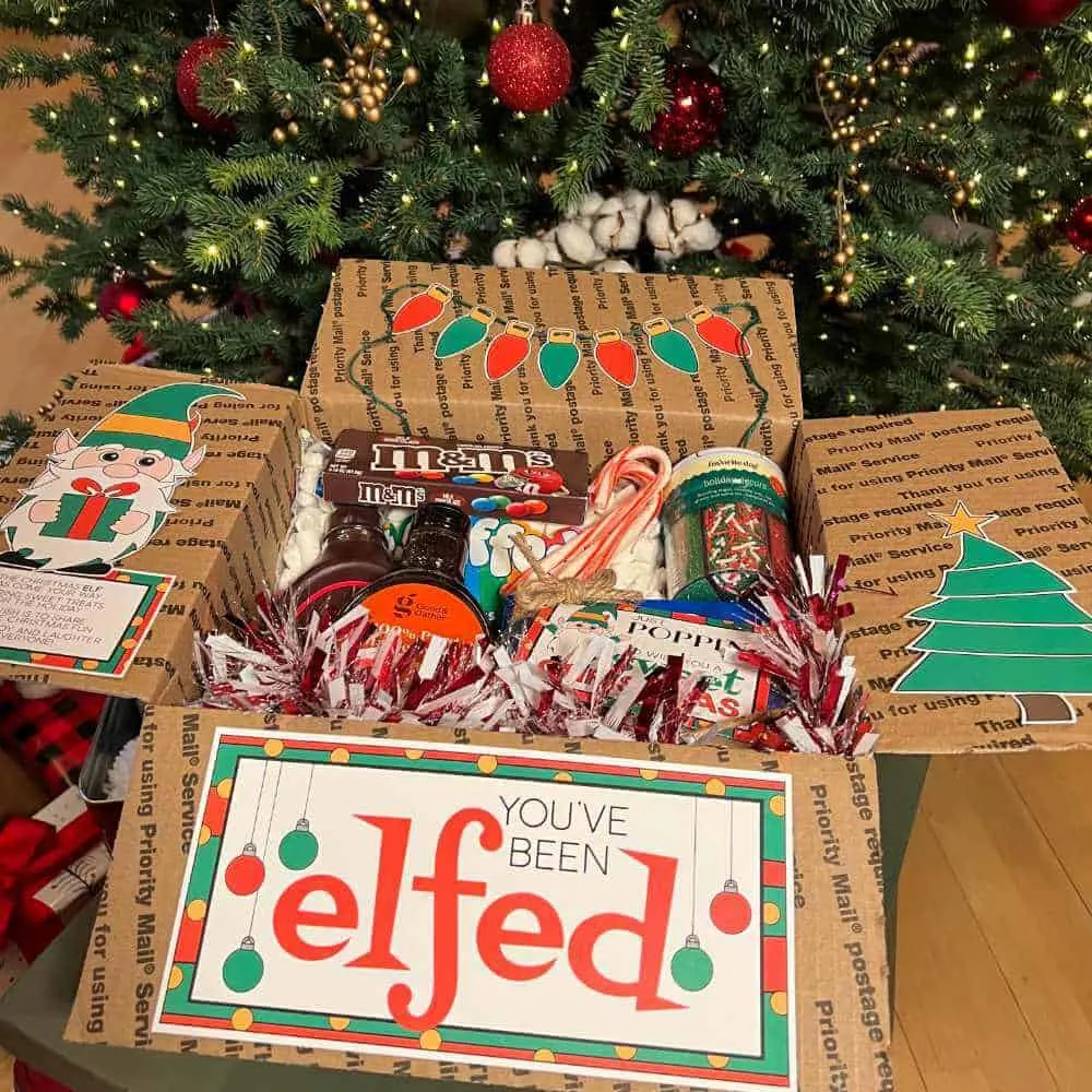 You've Been Elfed Care Package