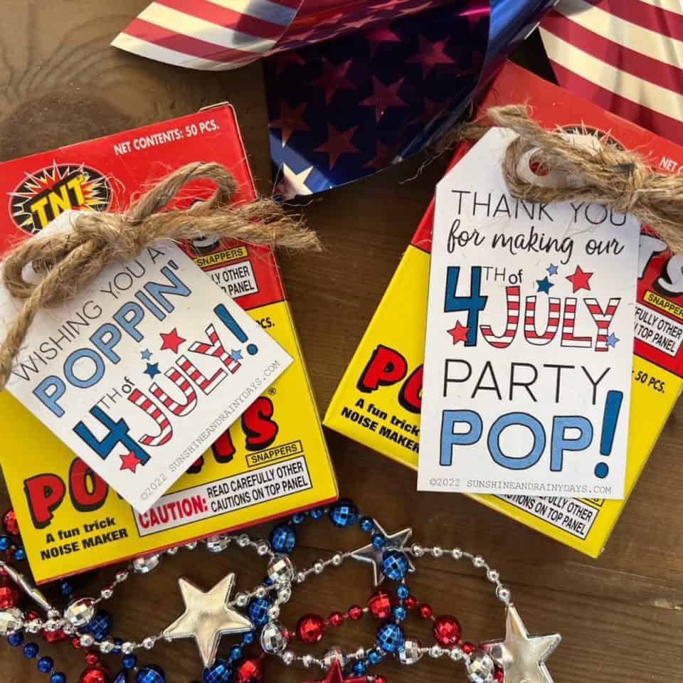 4th of July Party Favor Ideas - Sunshine and Rainy Days