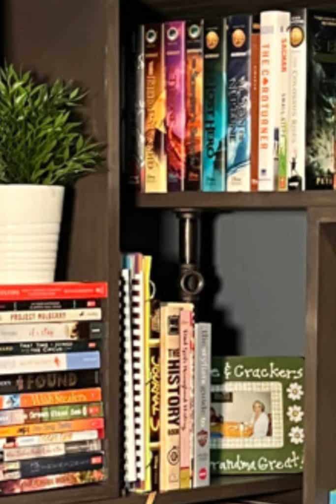 DIY Corner Bookshelf