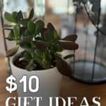 $10 Gift Ideas For Co-Workers