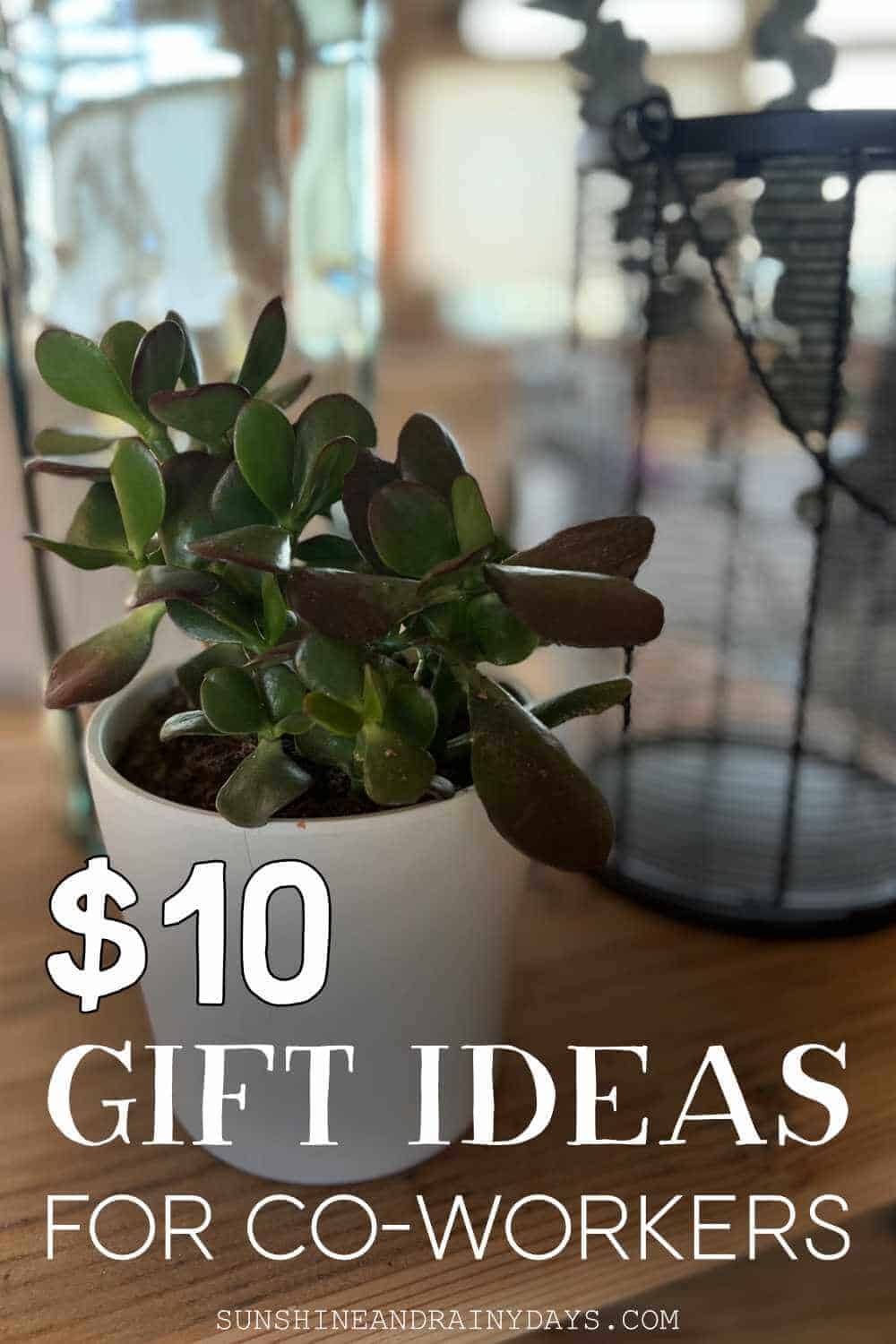 $10 Gift Ideas For Co-Workers