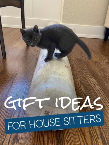 Gift Ideas For House Sitter - Cat on a rug roll.