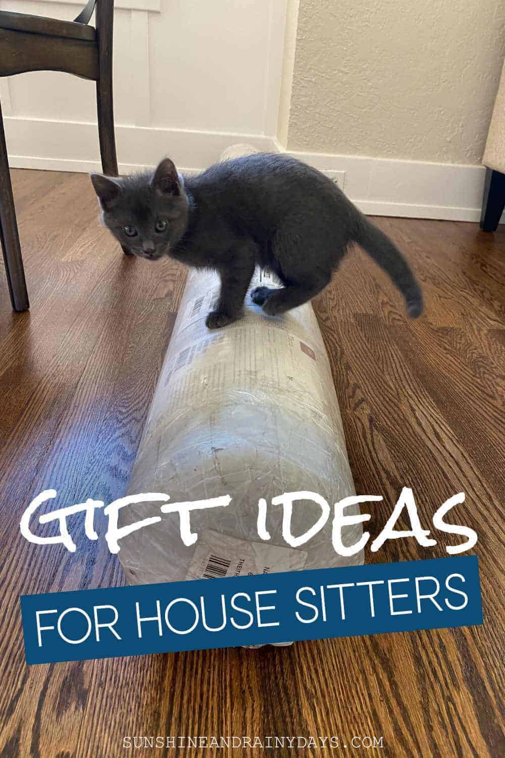 The Best Gift Ideas For House Sitter - Sunshine and Rainy Days