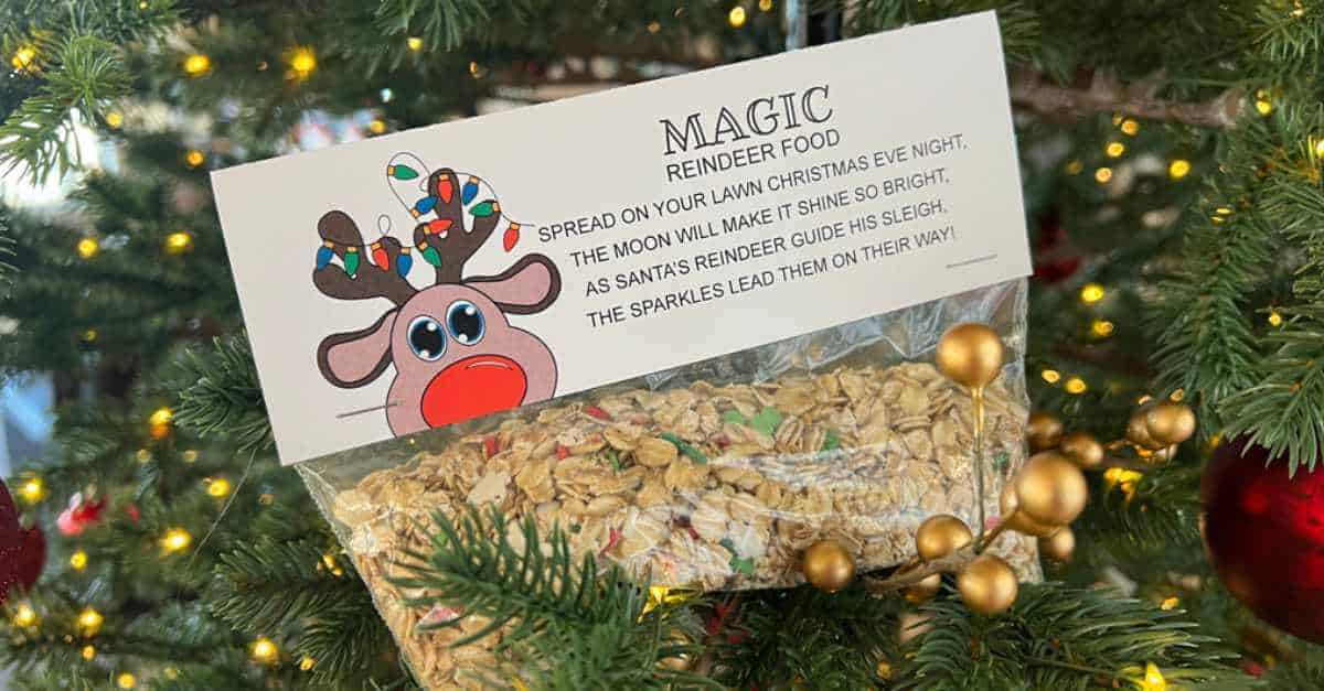 Reindeer Dust Activity and Poem Printable - Sunshine and Munchkins