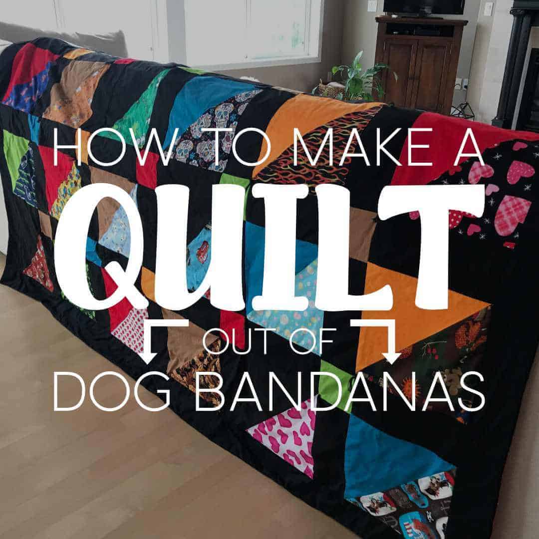 how-to-make-a-quilt-out-of-dog-bandanas-sunshine-and-rainy-days
