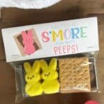 Easter Is S'more Fun With Peeps baggie topper.