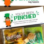 Snack size baggie filled with St. Patrick's Day treats and a You've Been Pinched bag topper on it.