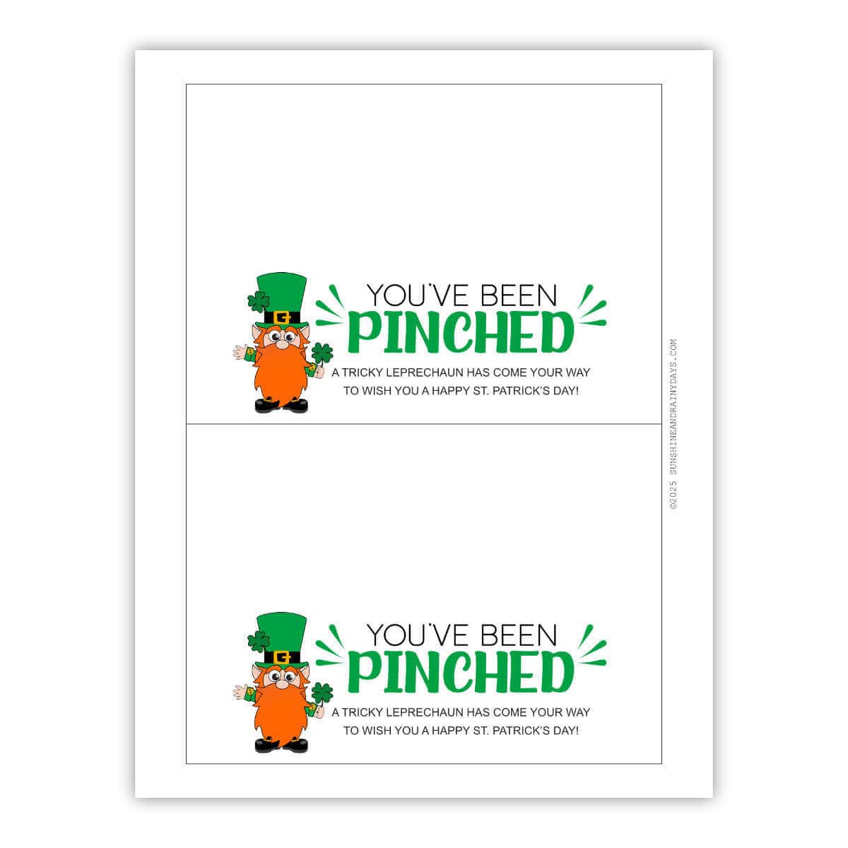 Two You've Been Pinched bag toppers printable with a cute little leprechaun.