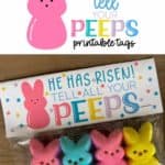 Four Peeps in a snack-size baggie with a baggie topper that says, 'He Has Risen! Tell All Your Peeps'.