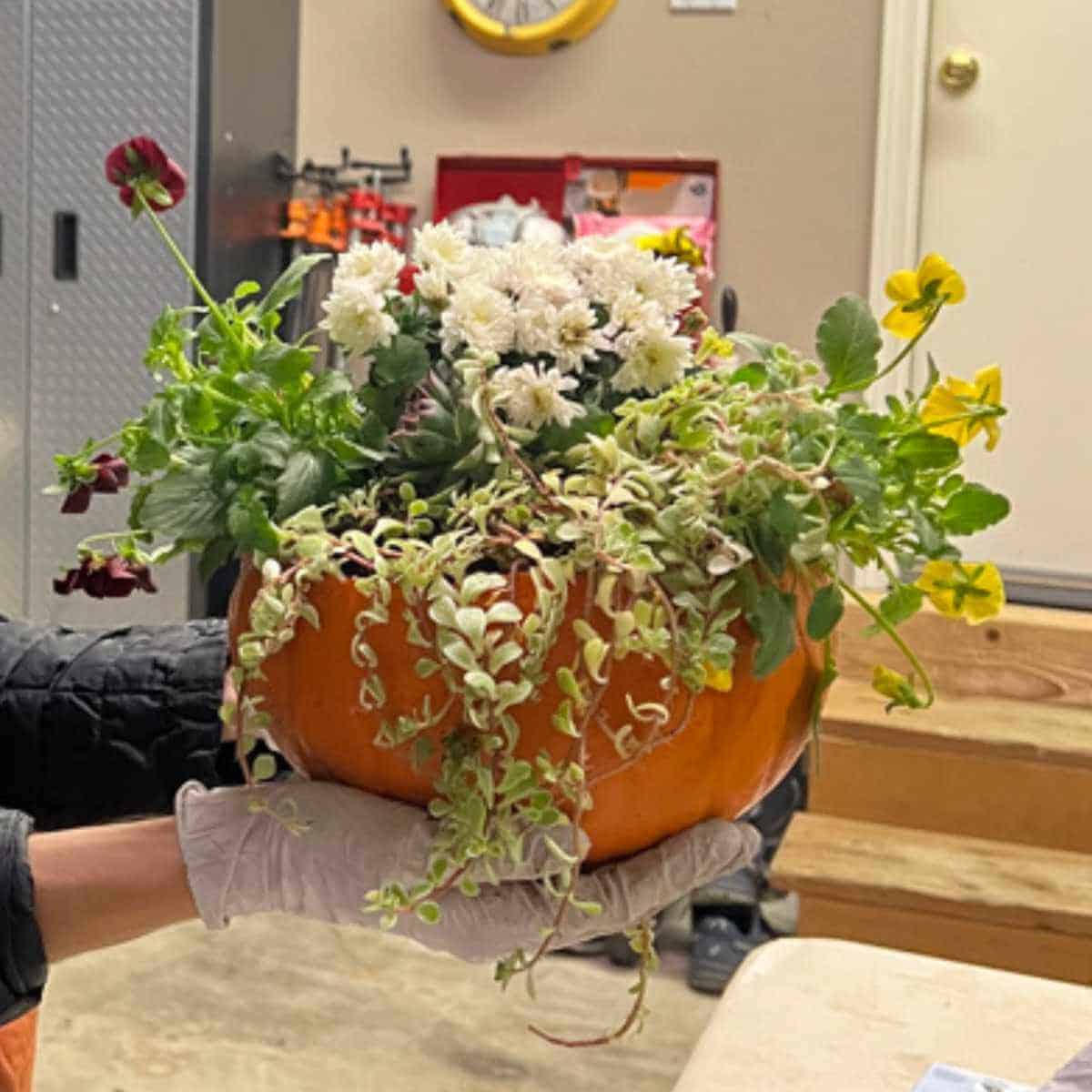 Finished pumpkin planter with plants inside.