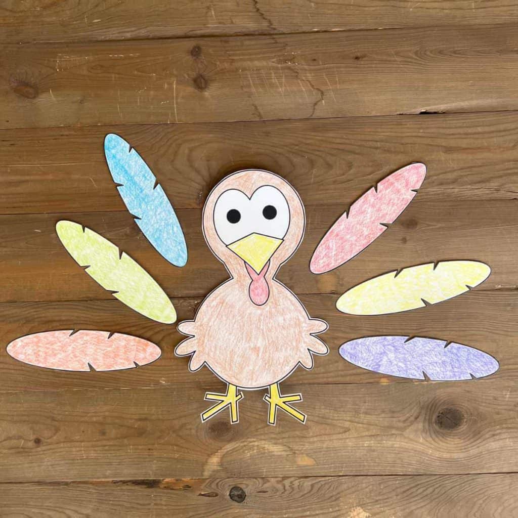Colored paper turkey and feathers.