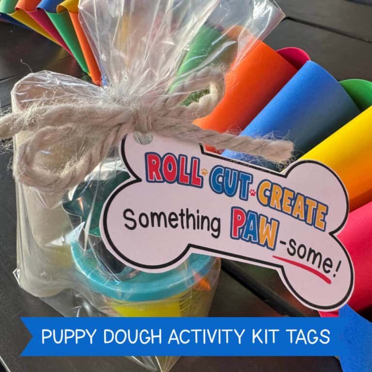 Image of a clear treat bag with modeling clay, a rolling pin, and cookie cutter inside.